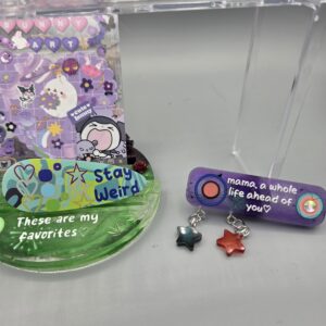 Mini Magnet & Hair Clip Duo